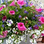 Le Grenier D'isafil Bed & Breakfast 3*