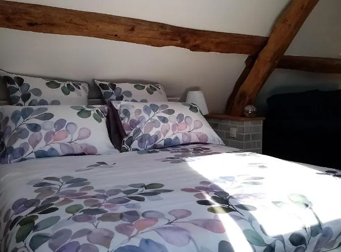 Le Grenier D'isafil 3* Bordeaux-Saint-Clair